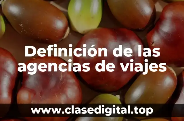 Definición de las agencias de viajes