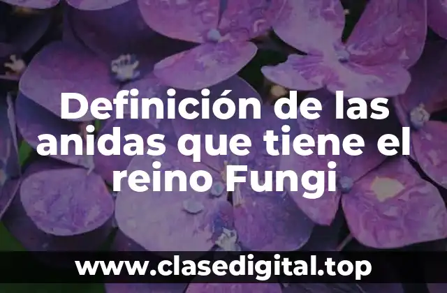 Definición de las anidas que tiene el reino Fungi