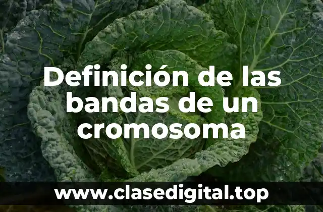 Definición de las bandas de un cromosoma