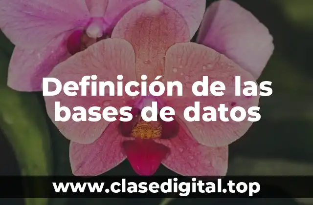 Definición de las bases de datos