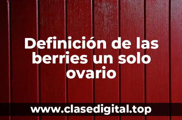 Definición de las berries un solo ovario