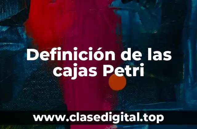 Definición de las cajas Petri