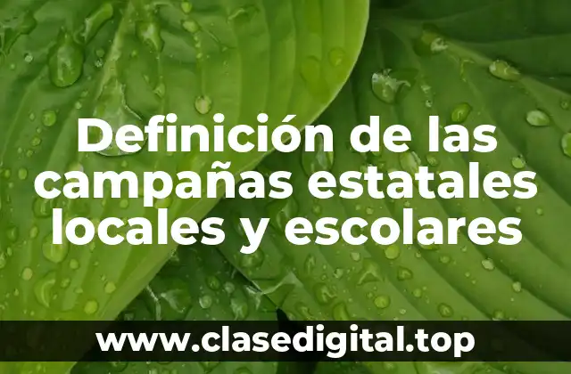 Definición de las campañas estatales locales y escolares