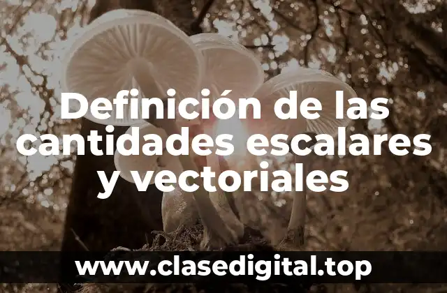 Definición de las cantidades escalares y vectoriales