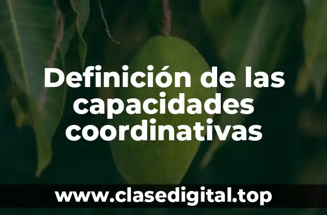 Definición de las capacidades coordinativas
