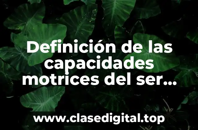 Definición de las capacidades motrices del ser humano