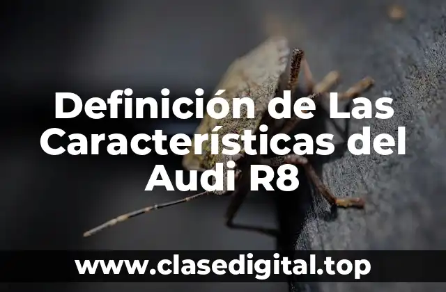 Definición de Las Características del Audi R8