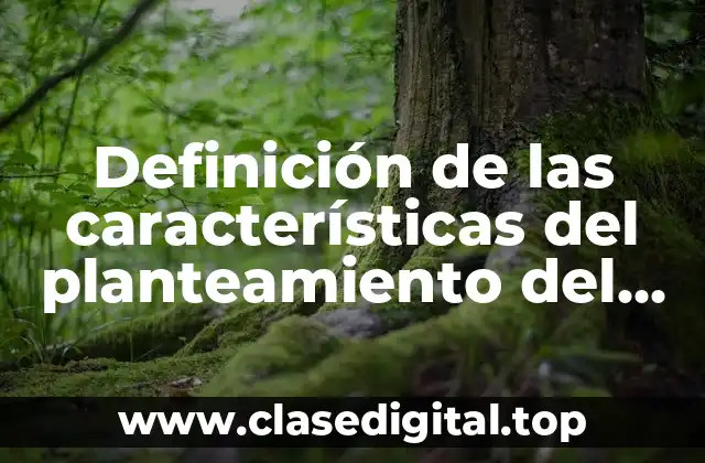 Definición de las características del planteamiento del problema