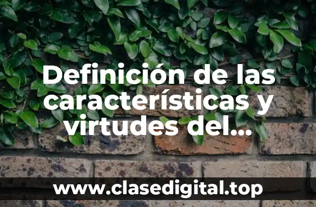 Definición de las características y virtudes del liderazgo