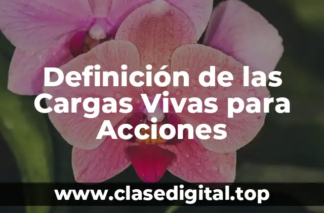 Definición de las Cargas Vivas para Acciones
