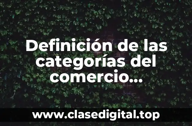 Definición de las categorías del comercio electrónico