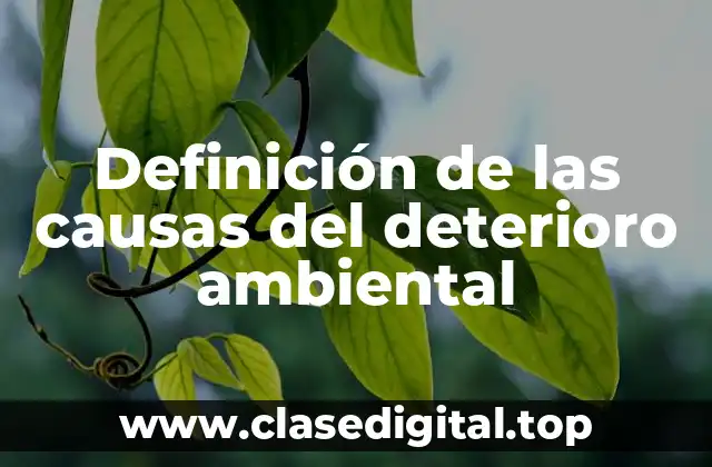 Definición de las causas del deterioro ambiental