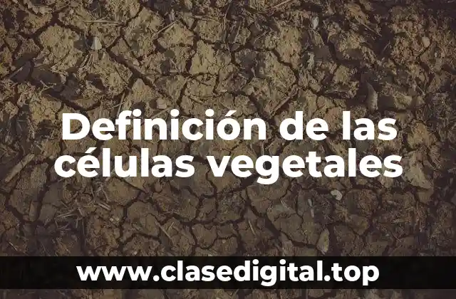 Definición de las células vegetales
