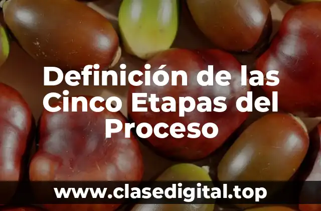 Definición de las Cinco Etapas del Proceso