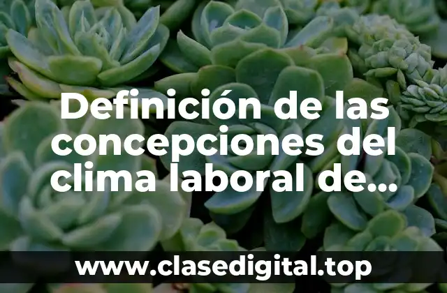 Definición de las concepciones del clima laboral de Sudarsky