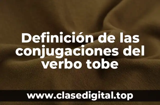 Definición de las conjugaciones del verbo tobe