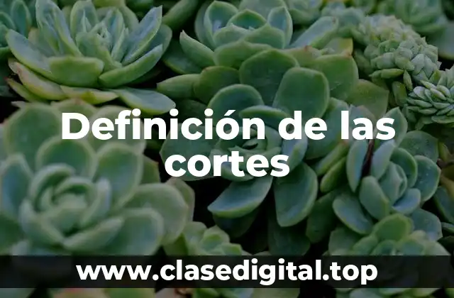 Definición de las cortes