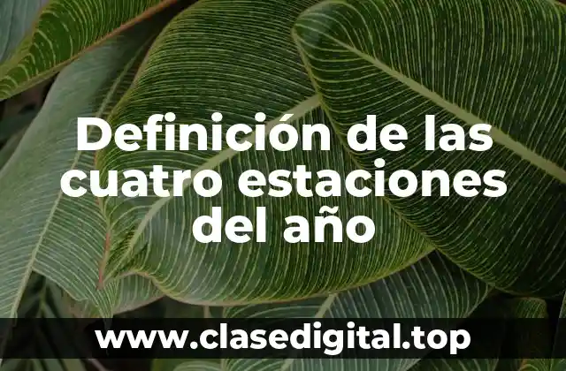 Definición de las cuatro estaciones del año