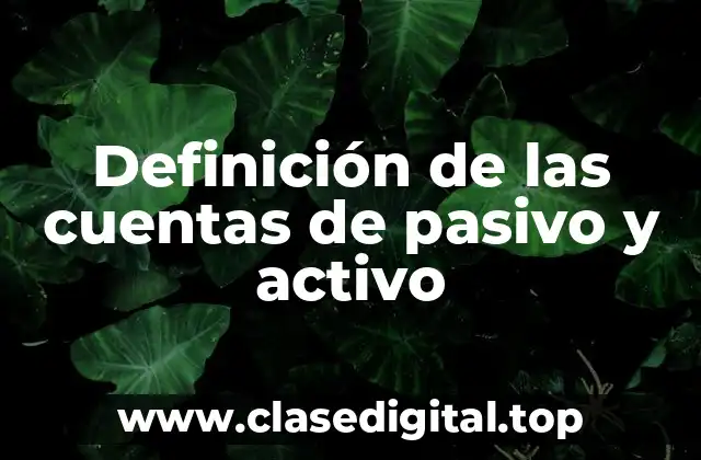 Definición de las cuentas de pasivo y activo