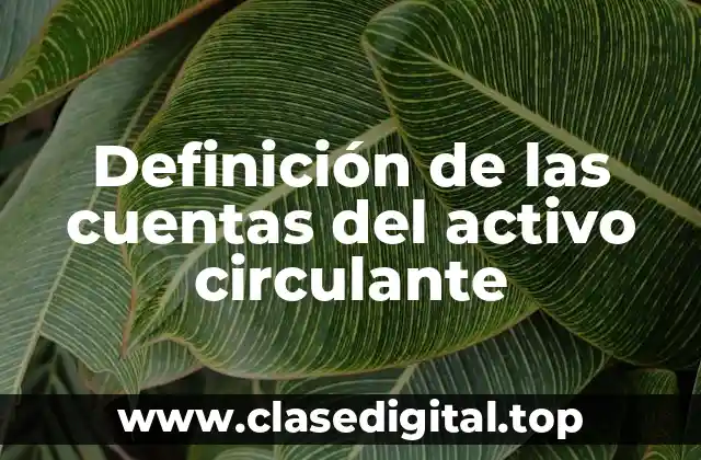 Definición de las cuentas del activo circulante