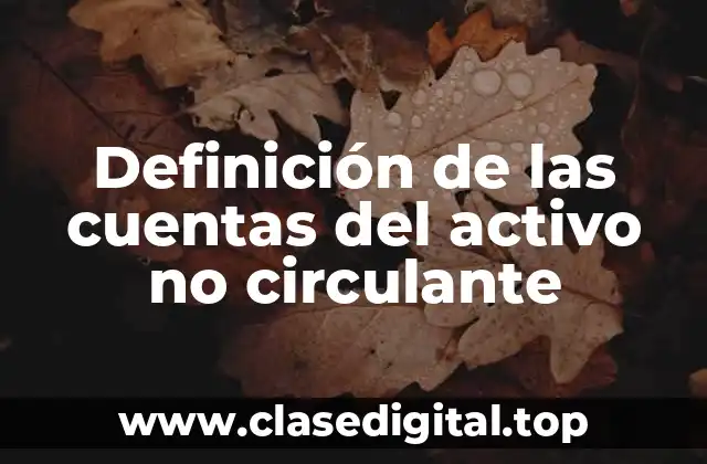 Definición de las cuentas del activo no circulante