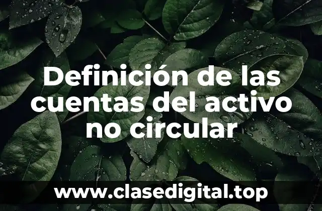 Definición de las cuentas del activo no circular