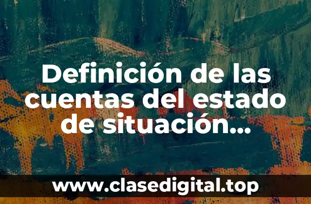 Definición técnica de las cuentas del estado de situación financiera