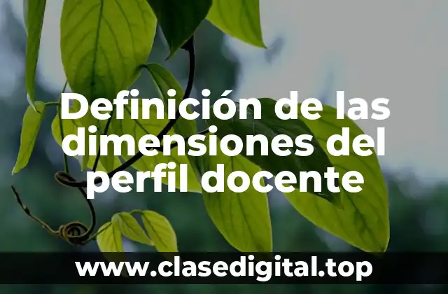 Definición de las dimensiones del perfil docente