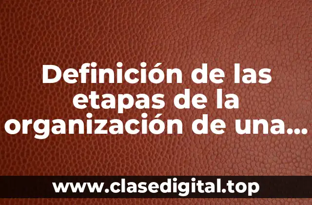 Definición de las etapas de la organización de una empresa