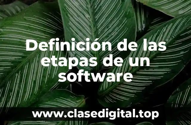 Definición de las etapas de un software