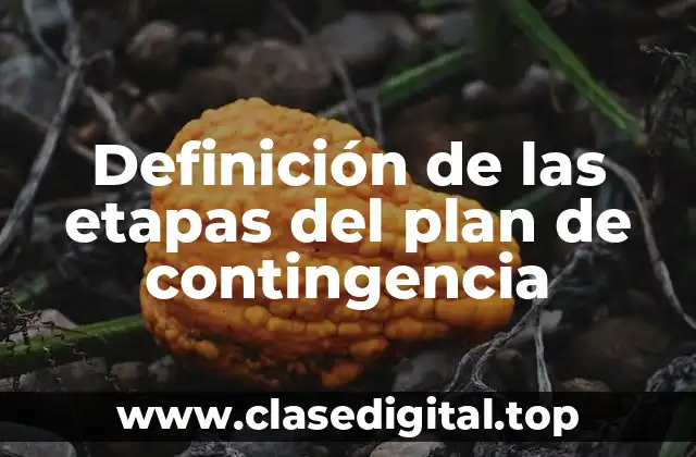 Definición de las etapas del plan de contingencia