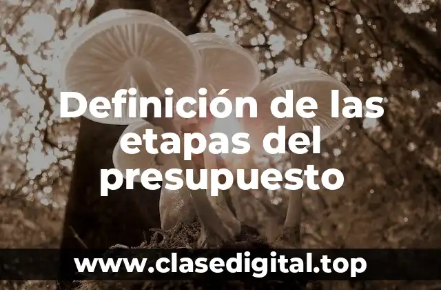 Ejemplos de las etapas del presupuesto