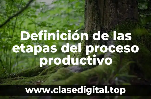 Definición de las etapas del proceso productivo