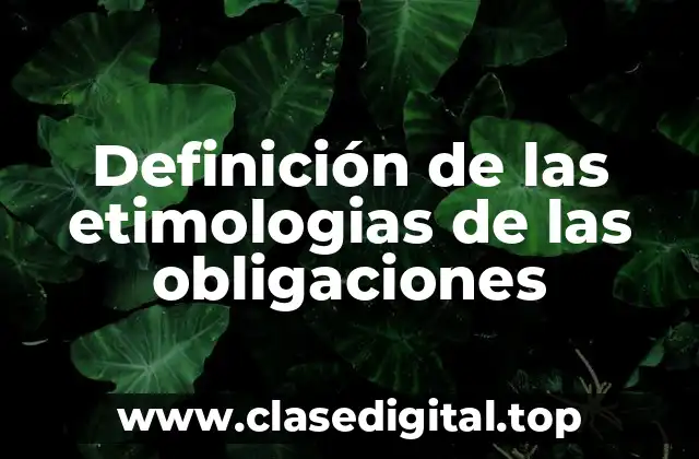 Definición de las etimologias de las obligaciones