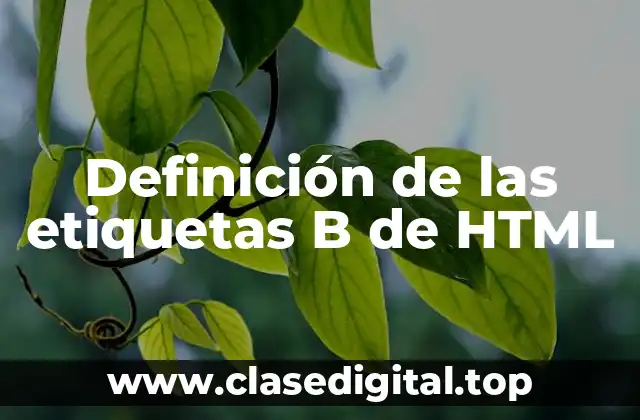 Definición de las etiquetas B de HTML