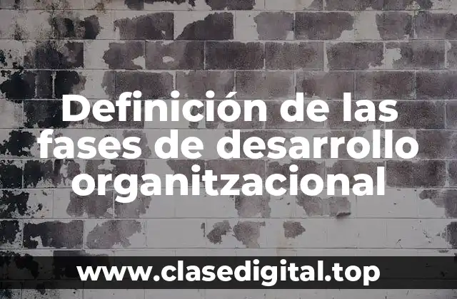 Definición de las fases de desarrollo organitzacional
