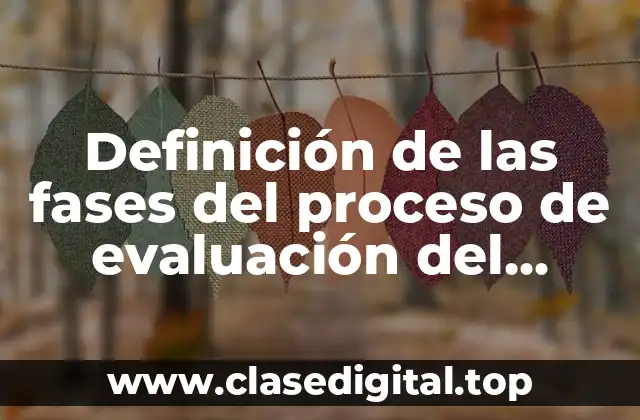 Definición de las fases del proceso de evaluación del desempeno
