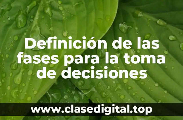 Definición de las fases para la toma de decisiones