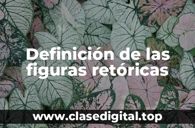 Definición de las figuras retóricas