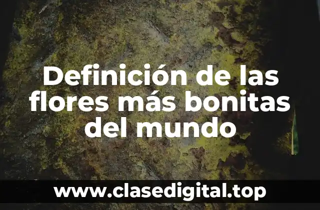 Definición de las flores más bonitas del mundo