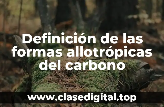 Definición técnica de las formas allotrópicas del carbono