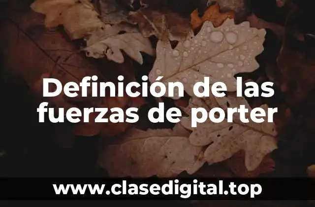 Definición de las fuerzas de porter