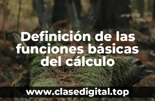 Definición de las funciones básicas del cálculo