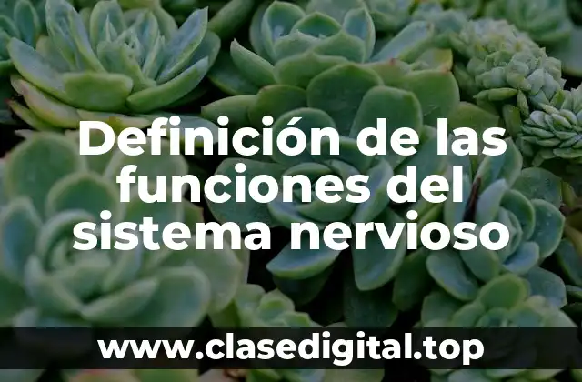 Ejemplos de las funciones del sistema nervioso