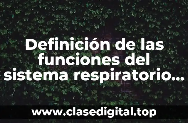 Definición de las funciones del sistema respiratorio como epiglotis