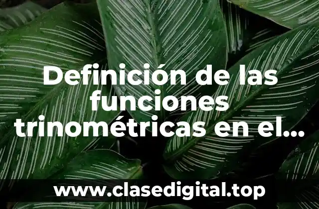 Definición técnica de las funciones trinométricas en el triángulo rectángulo