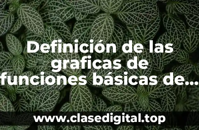 Definición de las graficas de funciones básicas de cálculo