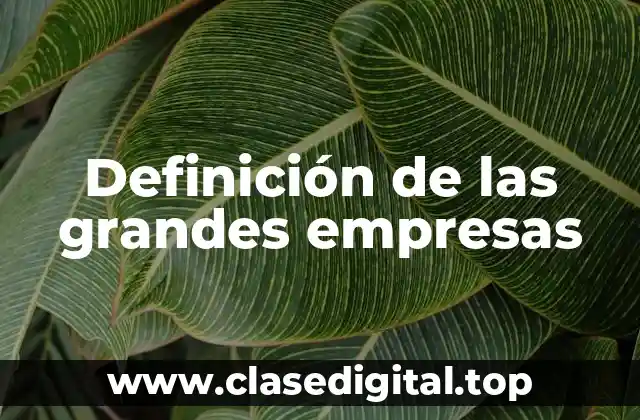 Definición de las grandes empresas