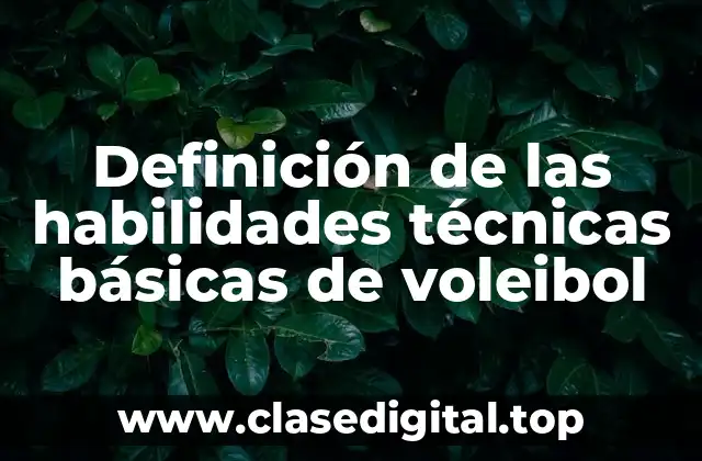 Definición de las habilidades técnicas básicas de voleibol