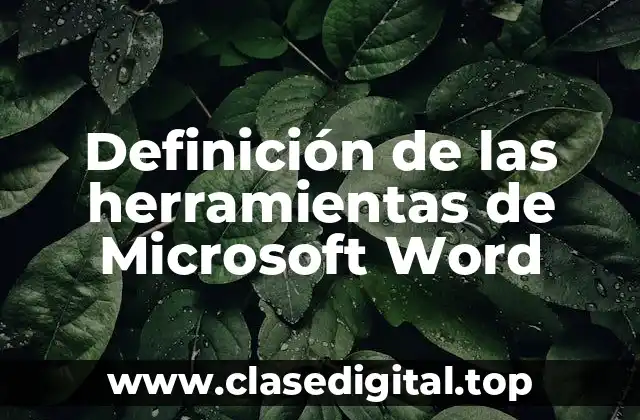 Definición de las herramientas de Microsoft Word